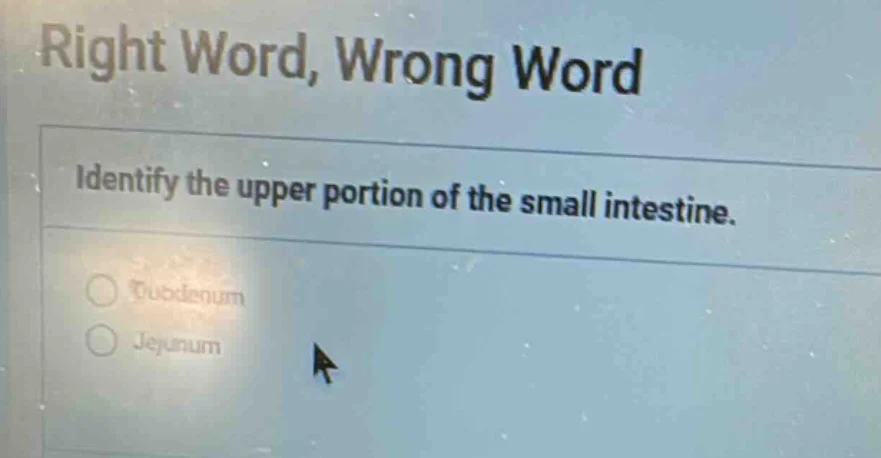 right word, wrong word identify the upper portion of the small intestin…