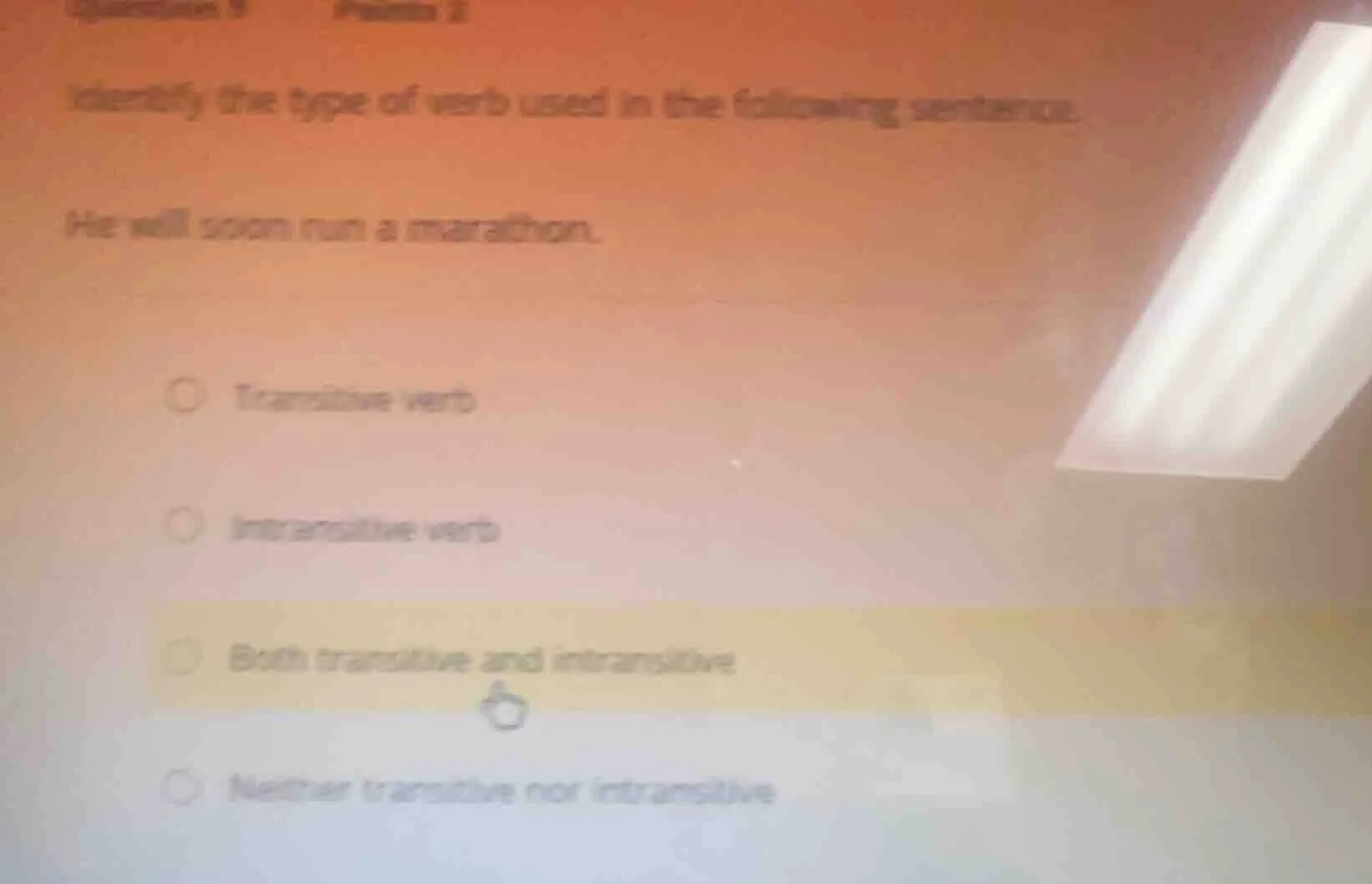 identify the type of verb used in the following sentence. he will soon …