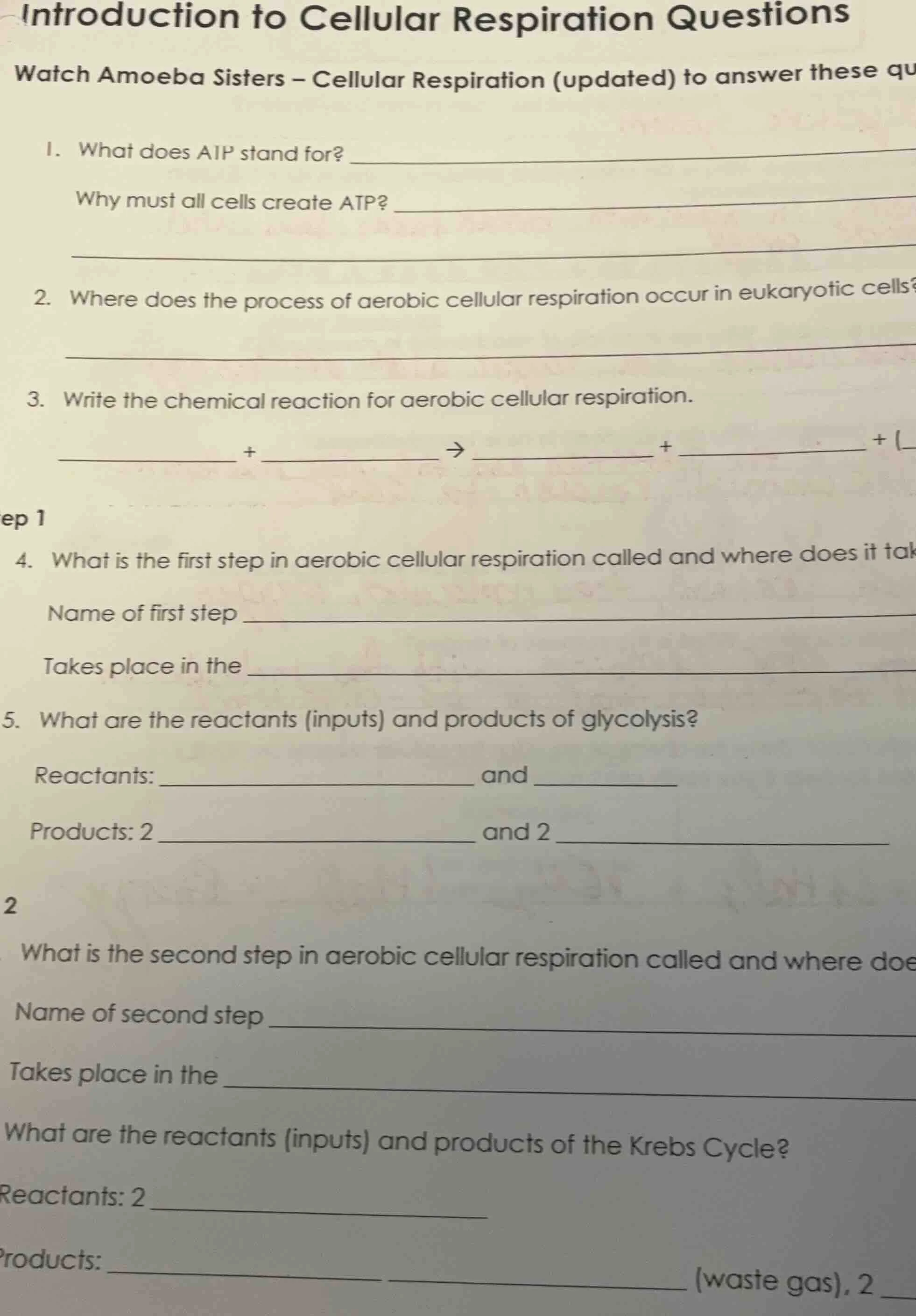 introduction to cellular respiration questions watch amoeba sisters – c…