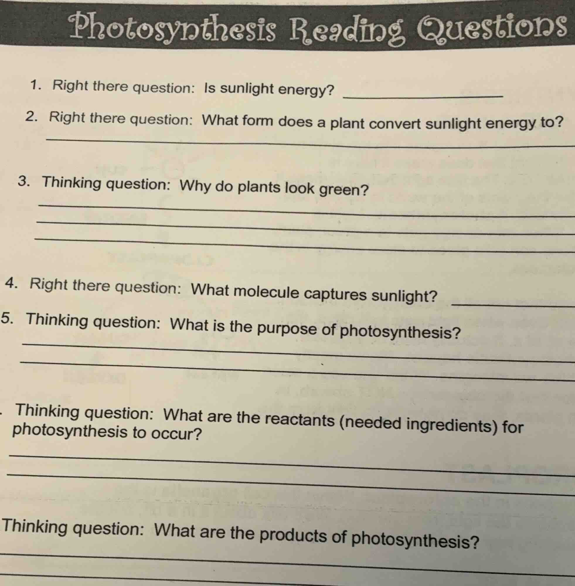 photosynthesis reading questions 1. right there question: is sunlight e…