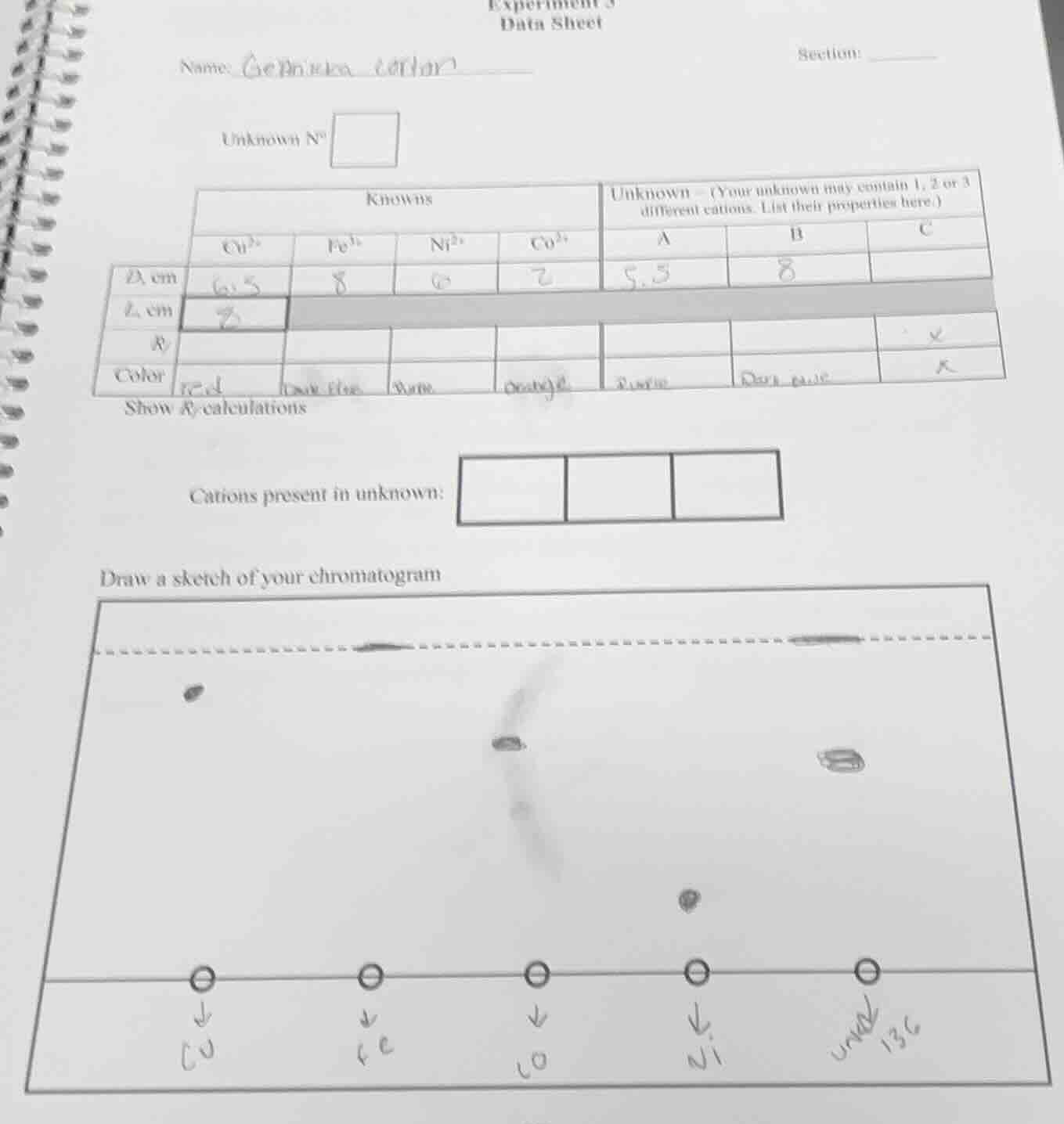 experiment 3 data sheet name: section: unknown no knowns unknown - (you…