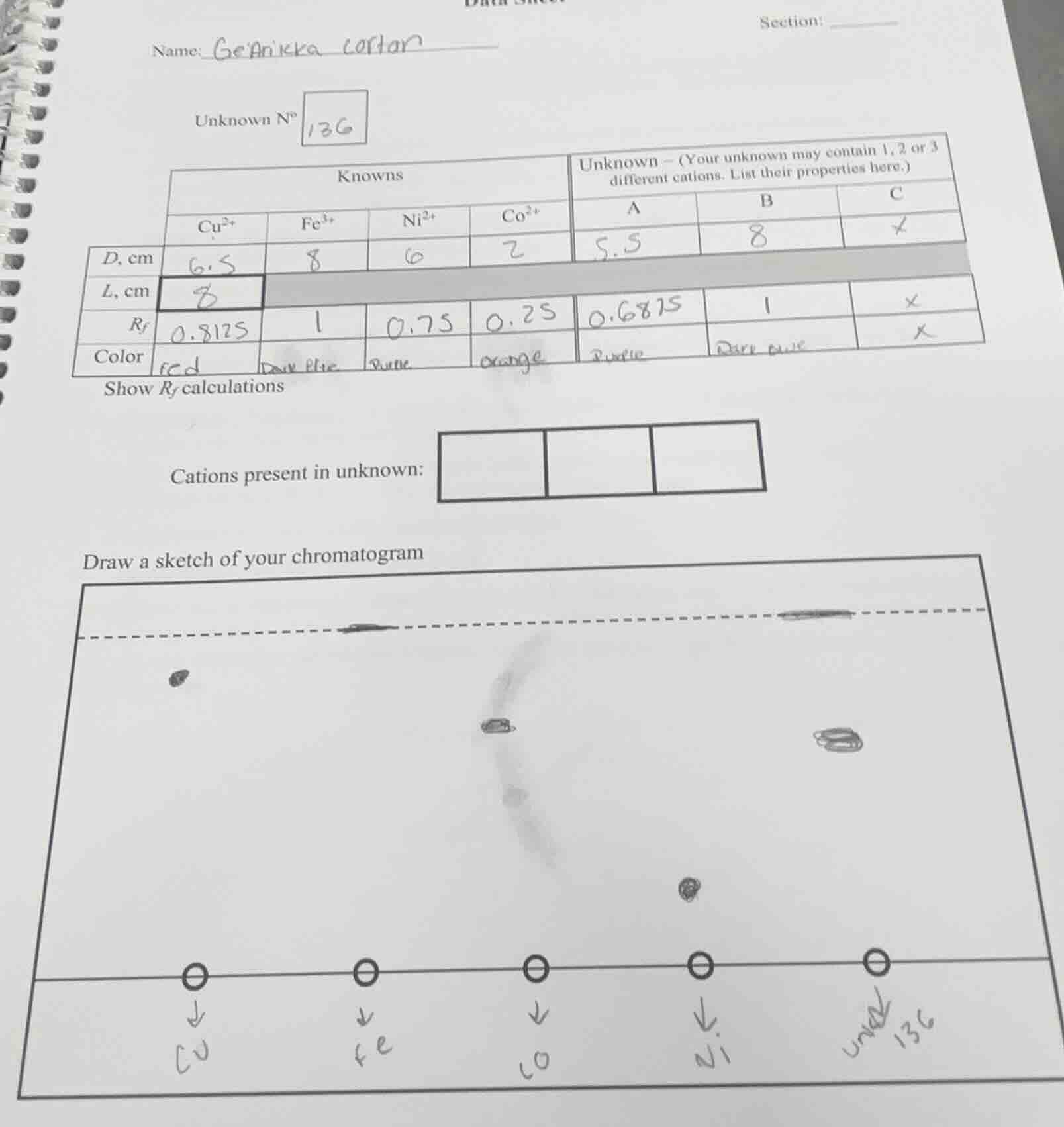 name: geaneka collan section: unknown n° 13g knowns unknown - (your unk…