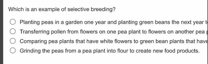 which is an example of selective breeding? planting peas in a garden on…