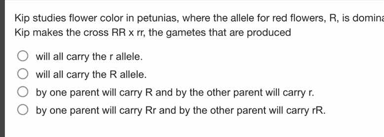 kip studies flower color in petunias, where the allele for red flowers,…