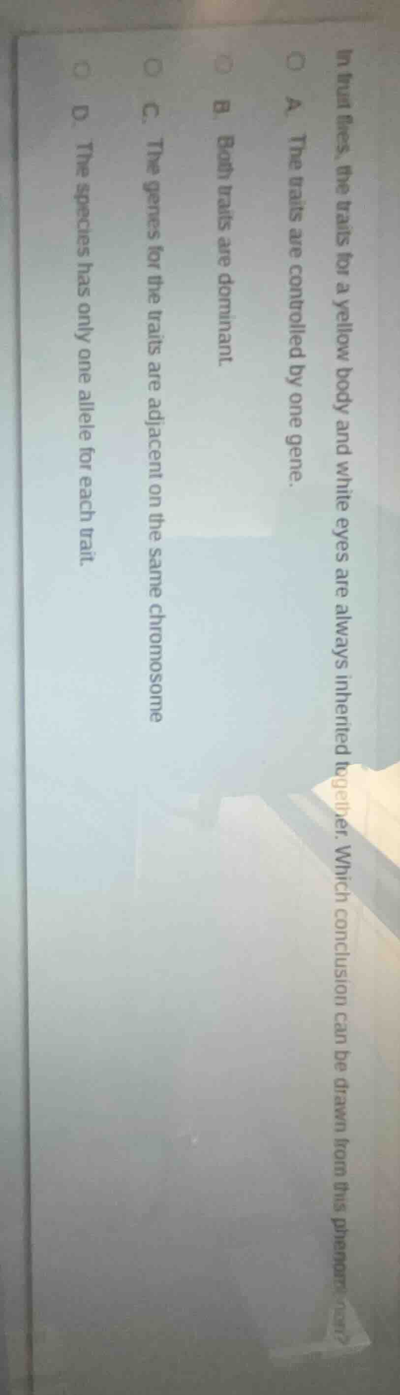 in fruit flies, the traits for a yellow body and white eyes are always …