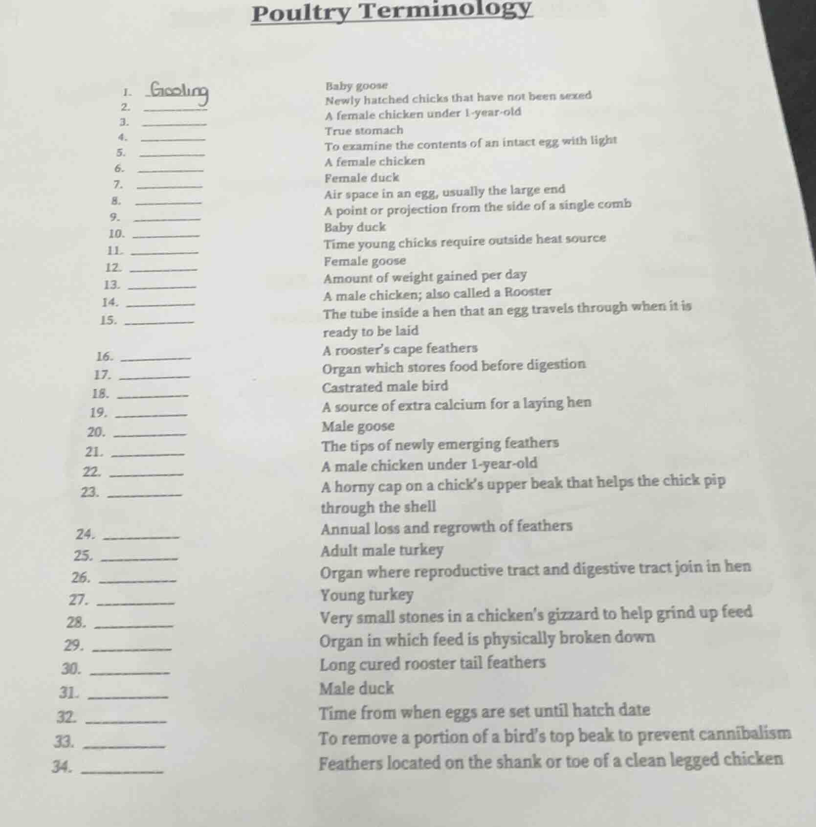 poultry terminology 1. ______ baby goose 2. ______ newly hatched chicks…