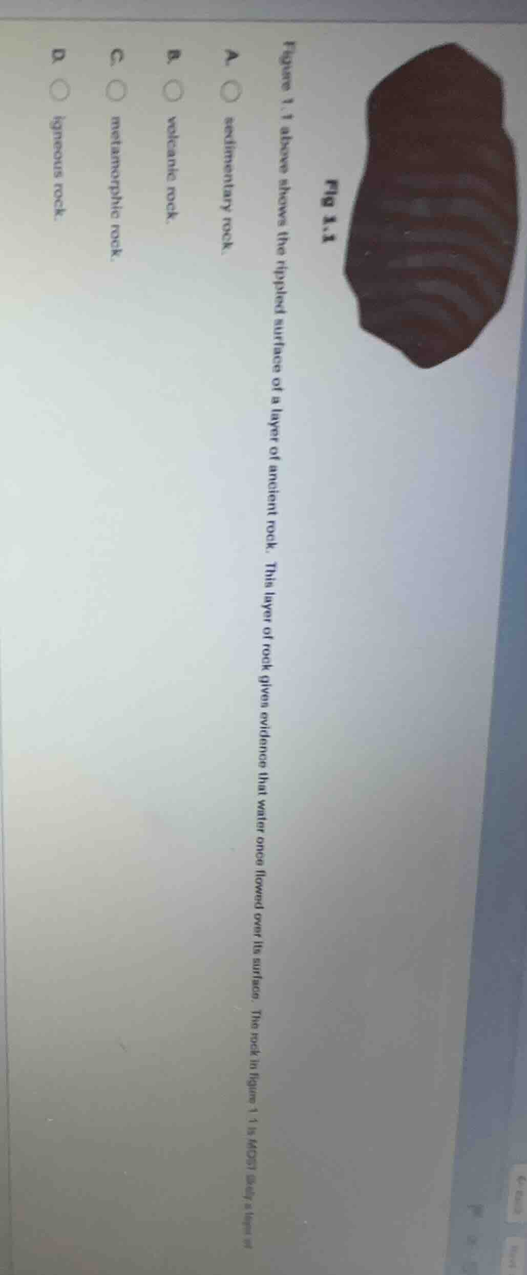 fig 1.1 figure 1.1 above shows the rippled surface of a layer of ancien…