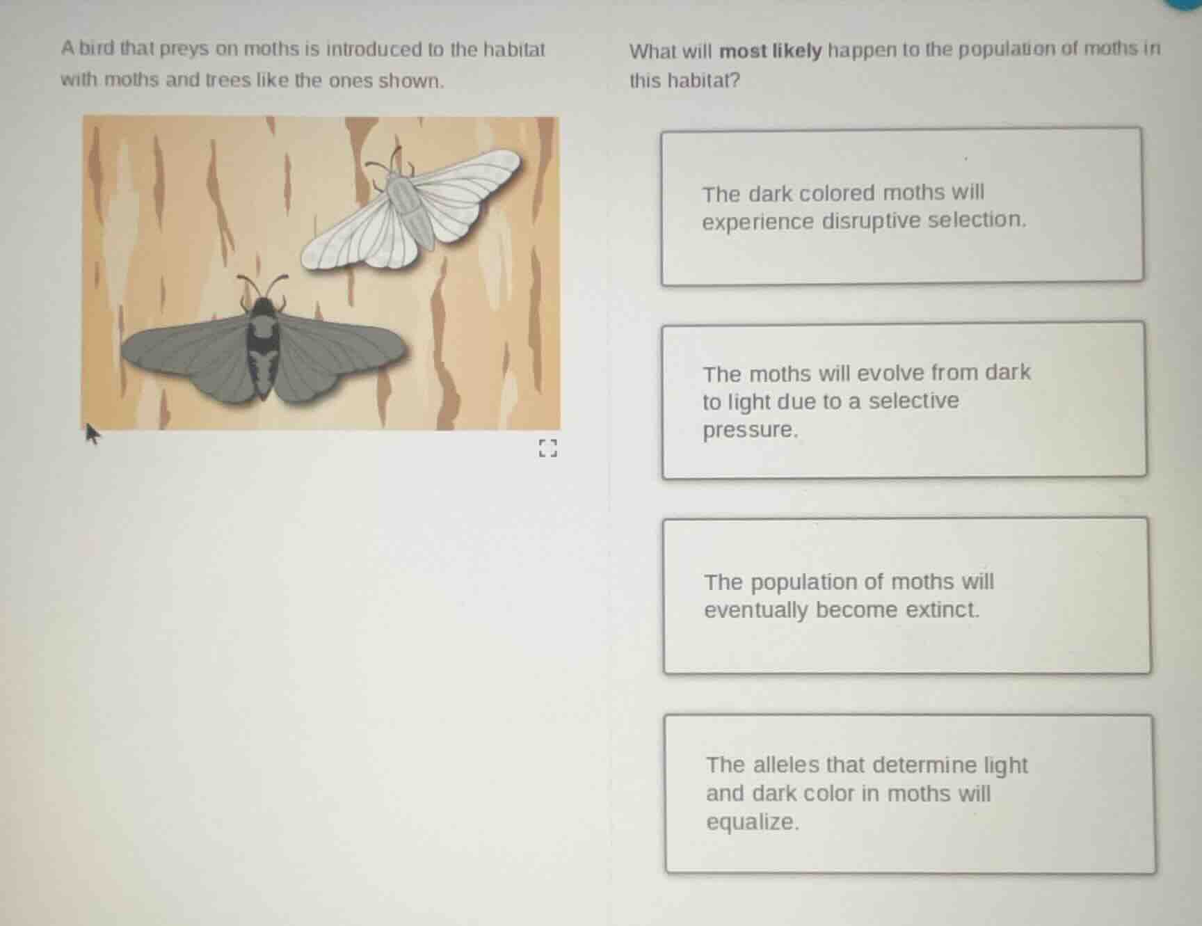a bird that preys on moths is introduced to the habitat with moths and …