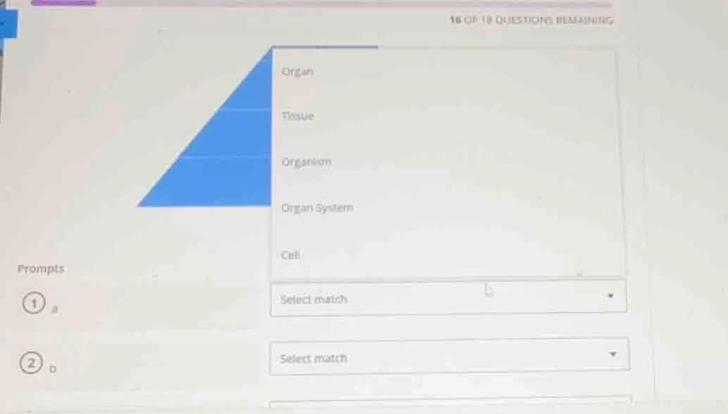 16 of 18 questions remaining prompts ① a ② b organ tissue organism orga…