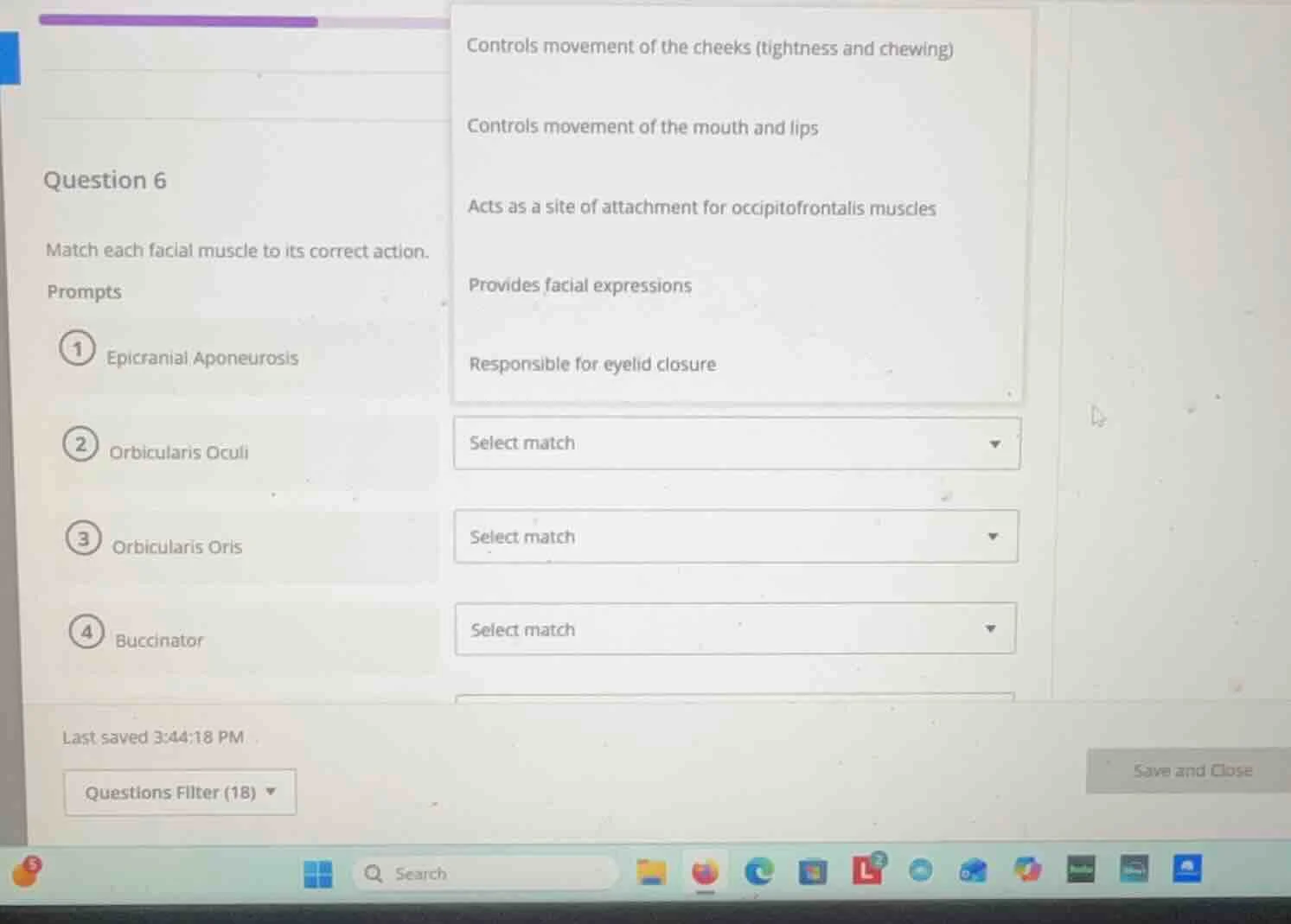 question 6 match each facial muscle to its correct action. prompts 1 ep…
