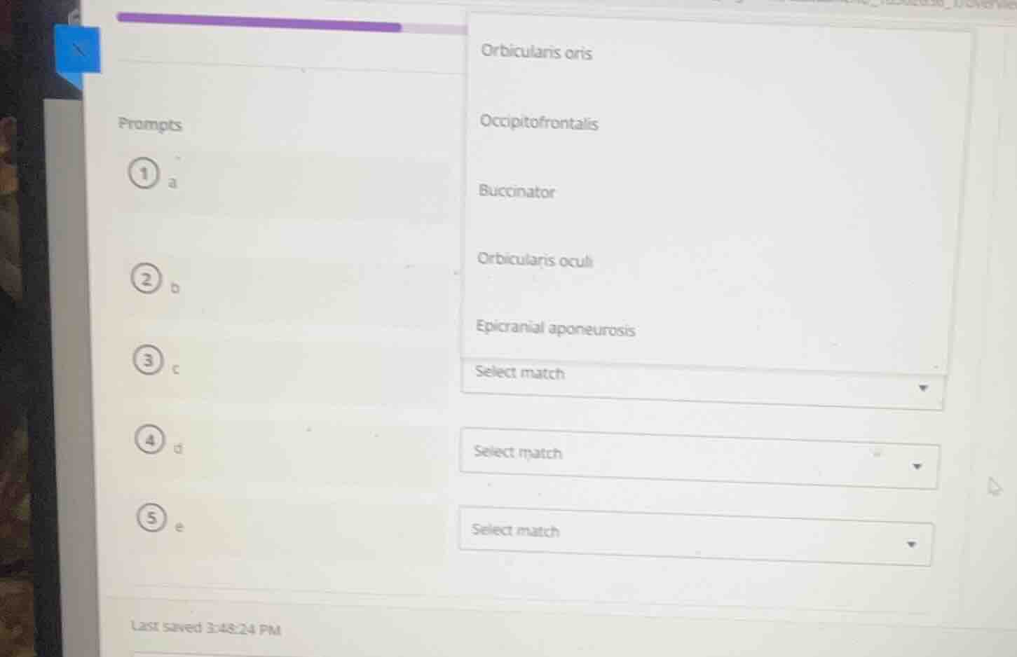 prompts 1 a 2 b 3 c 4 d 5 e orbicularis oris occipitofrontalis buccinat…