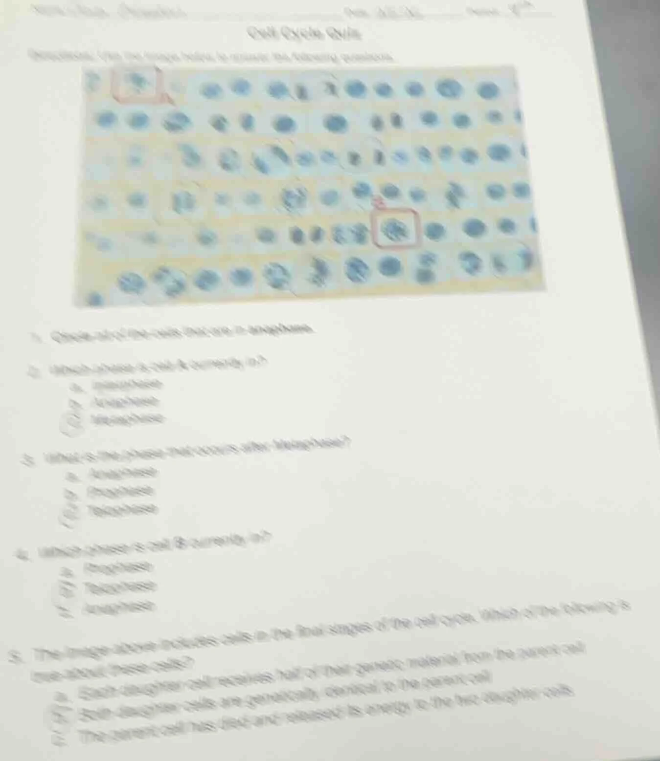 cell cycle quiz directions: use the image below to answer the following…