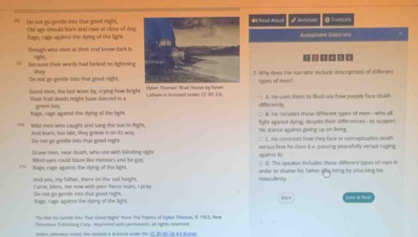 do not go gentle into that good night, old age should burn and rave at …