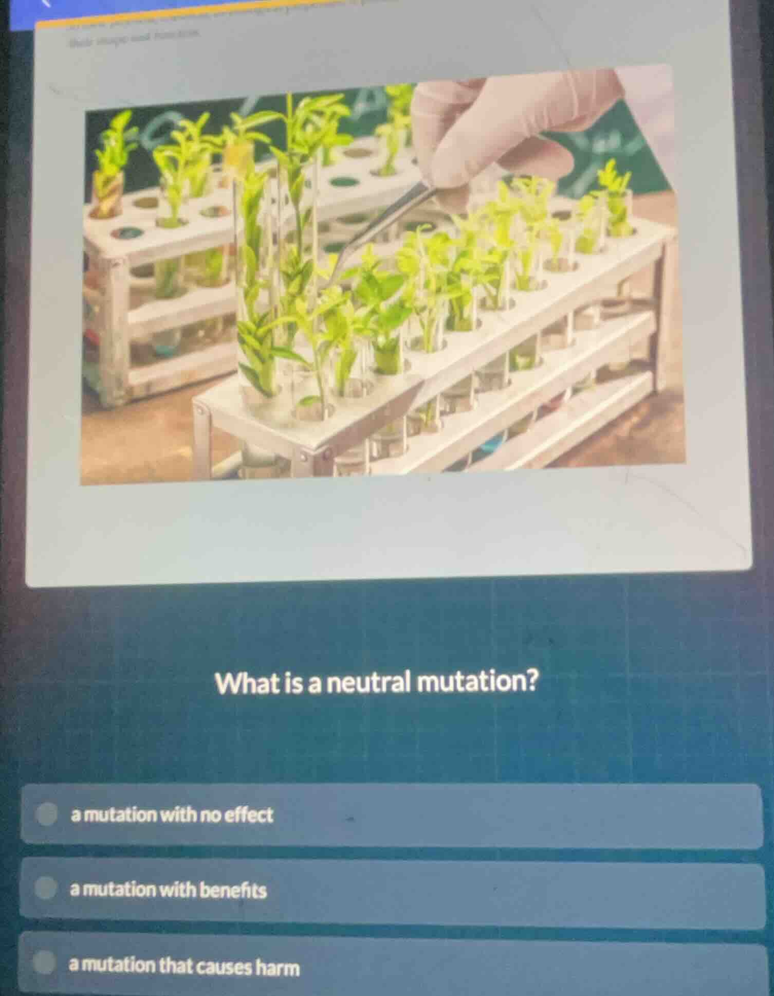 what is a neutral mutation? a mutation with no effect a mutation with b…