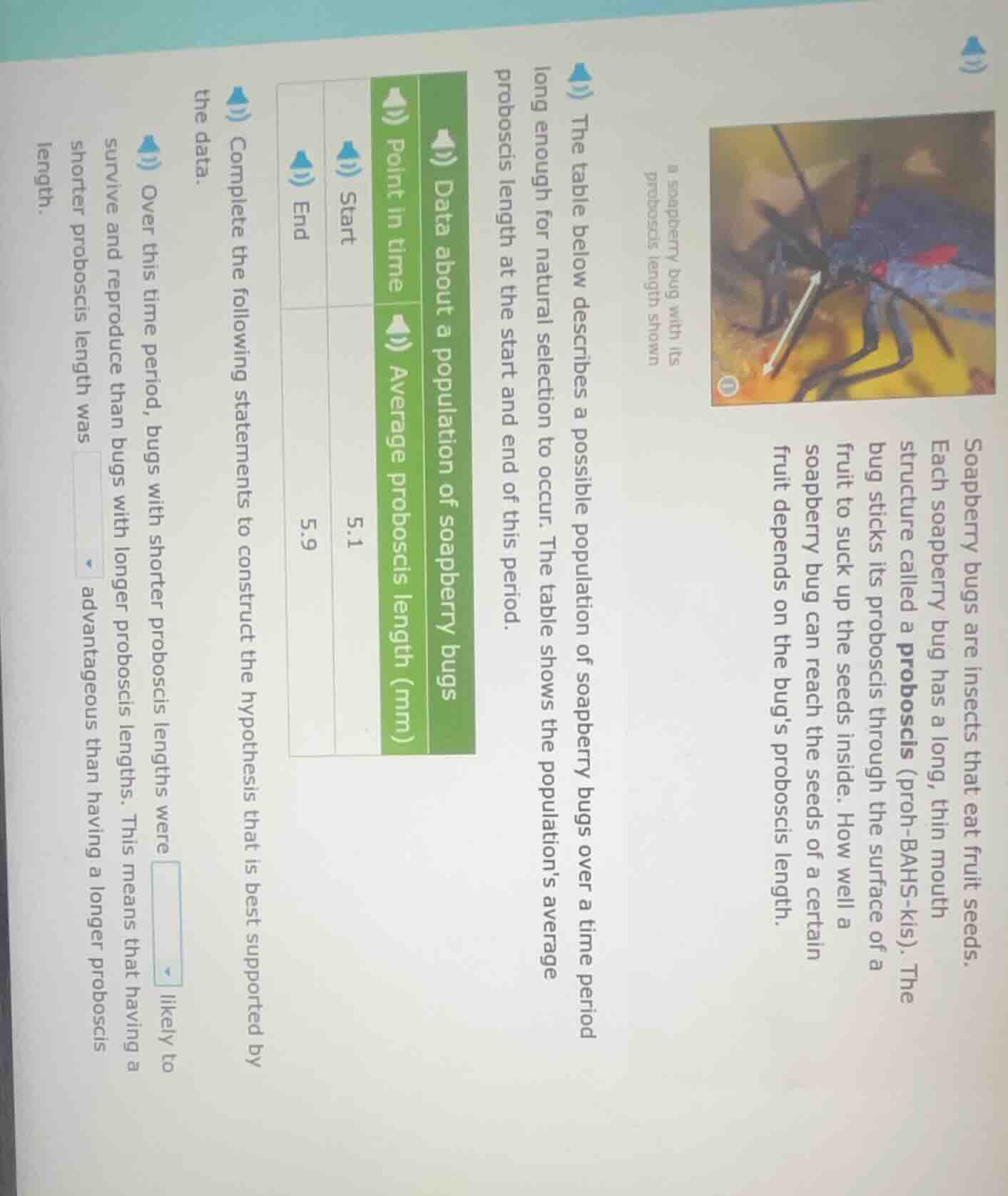 soapberry bugs are insects that eat fruit seeds. each soapberry bug has…