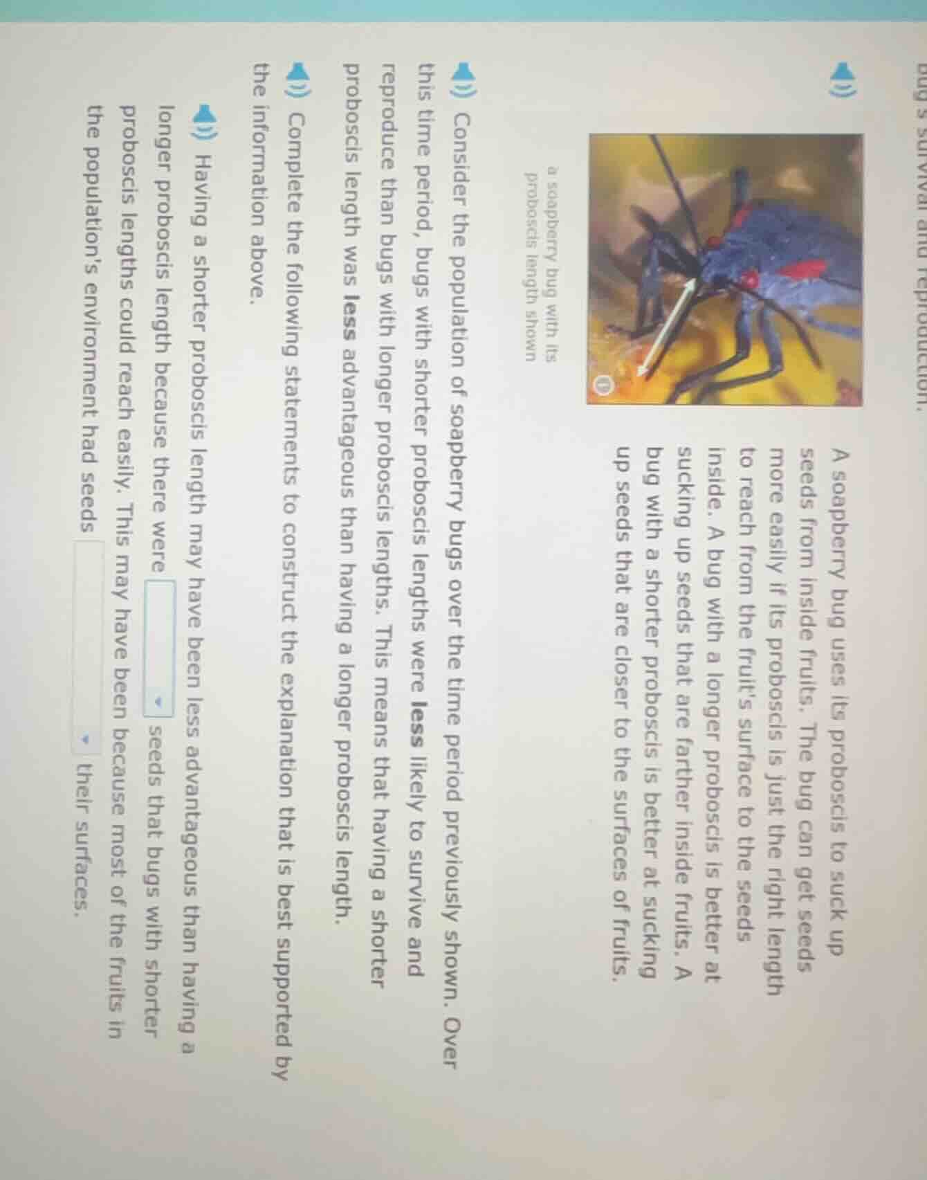 a soapberry bug uses its proboscis to suck up seeds from inside fruits.…