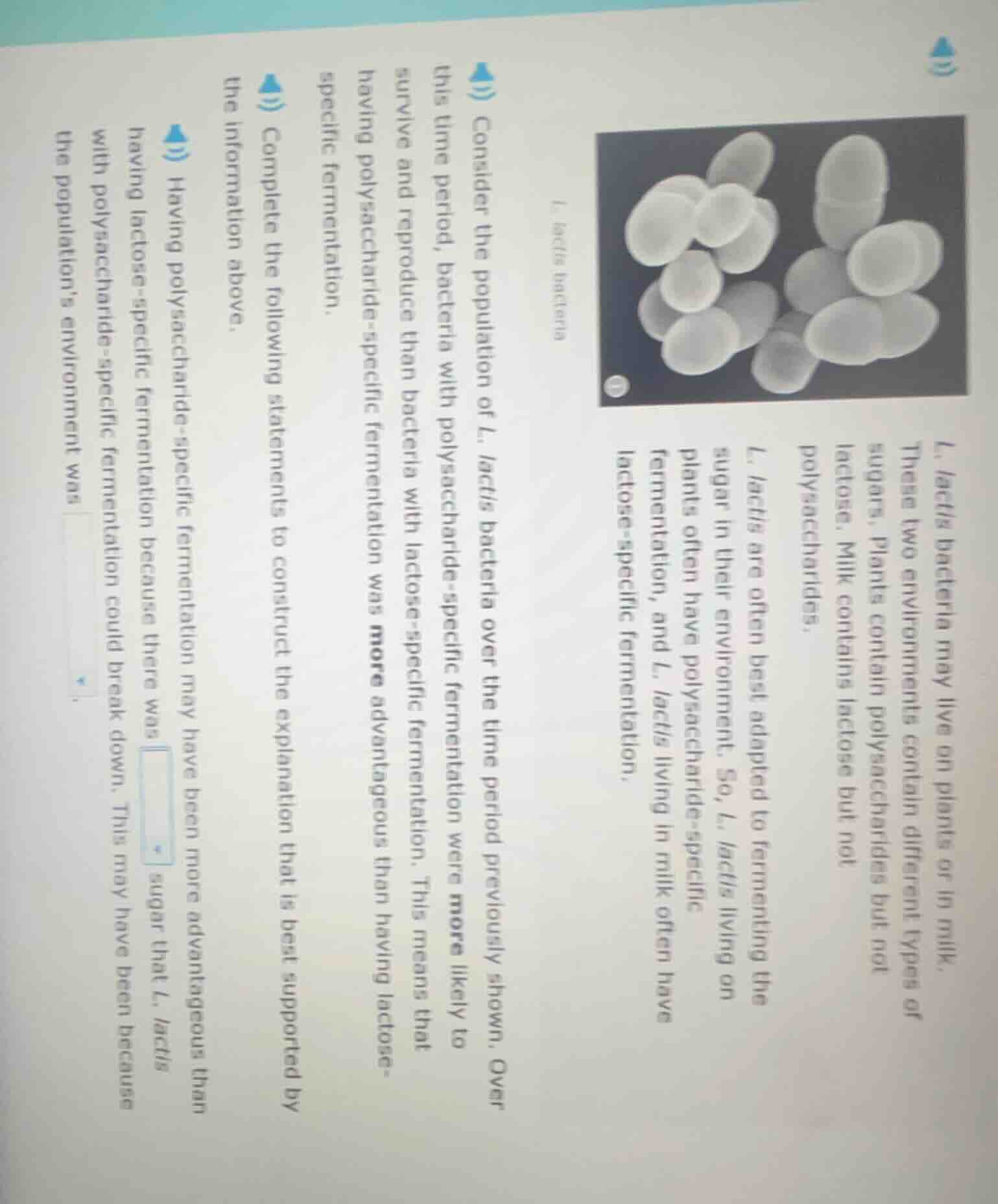 1. lactis bacteria l. lactis bacteria may live on plants or in milk. th…