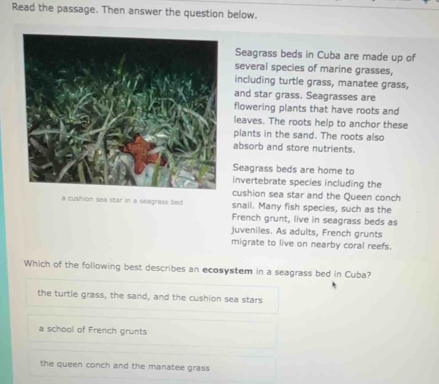 read the passage. then answer the question below. seagrass beds in cuba…