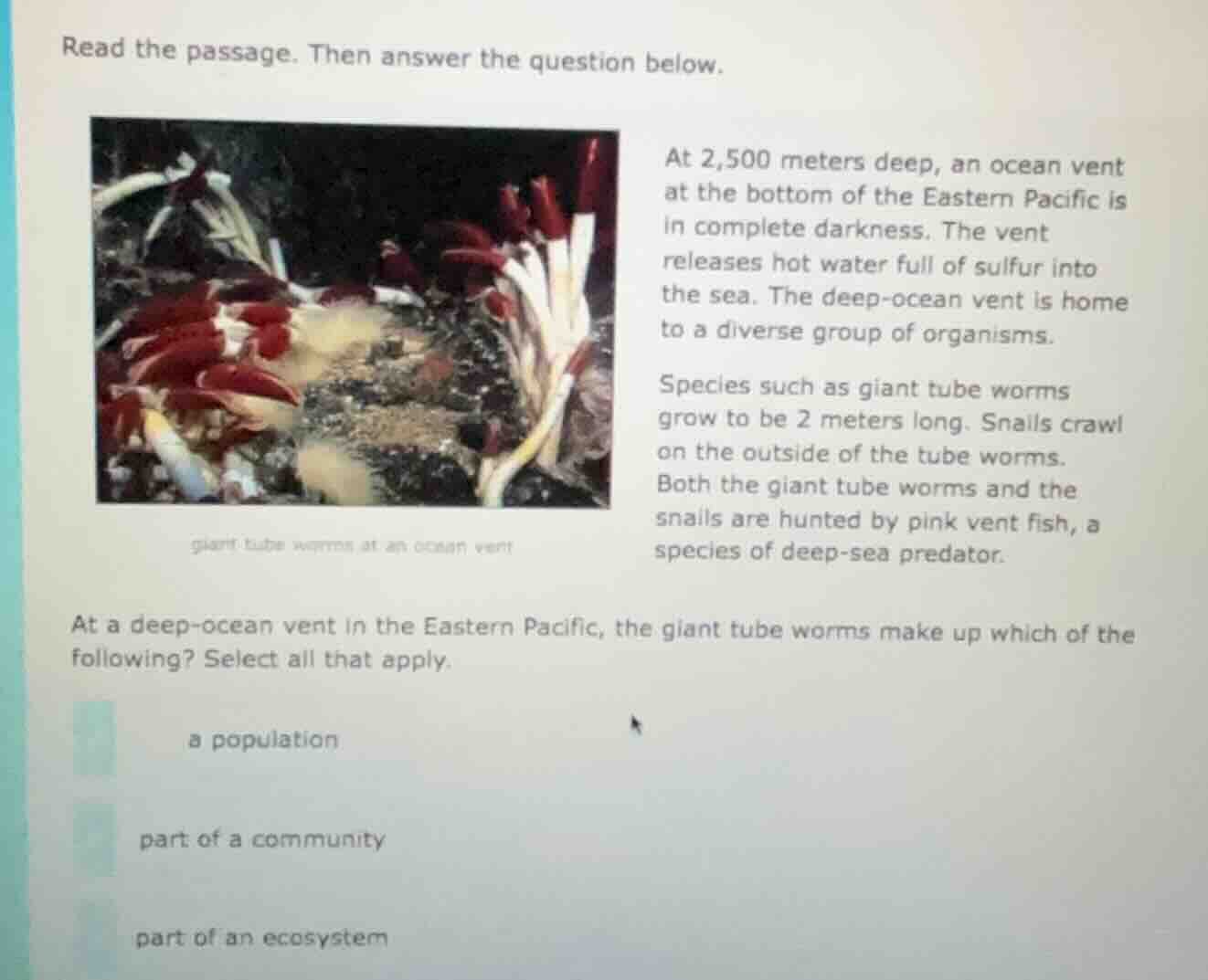 read the passage. then answer the question below. at 2,500 meters deep,…