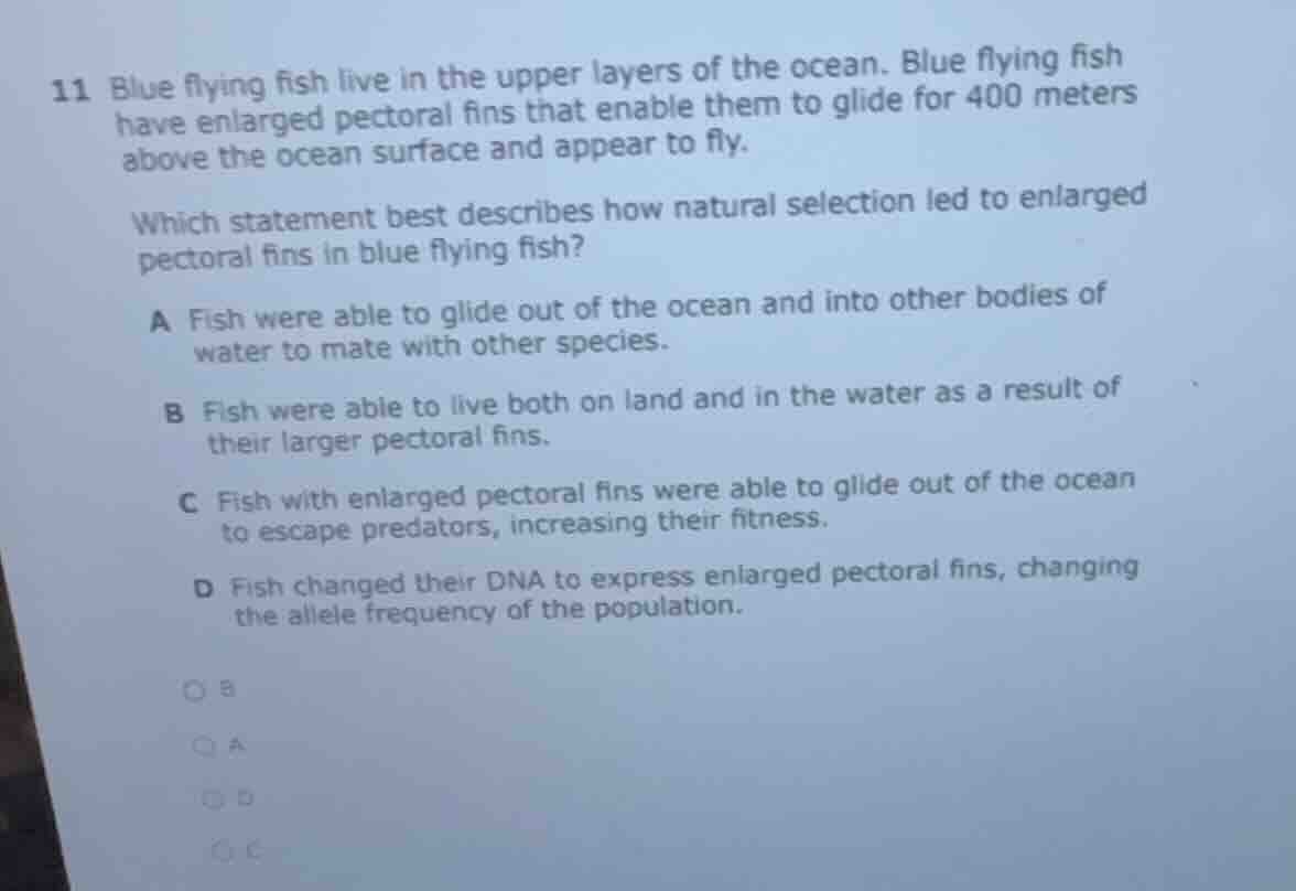 11 blue flying fish live in the upper layers of the ocean. blue flying …