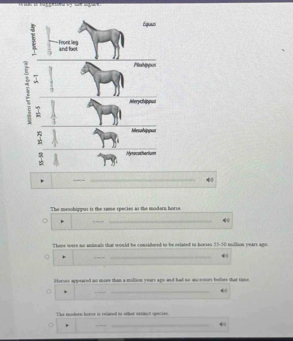 the mesohippus is the same species as the modern horse. there were no a…