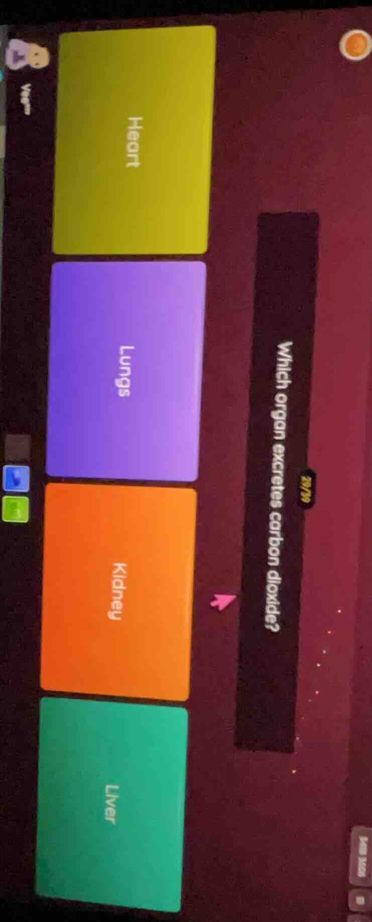 which organ excretes carbon dioxide? heart lungs kidney liver