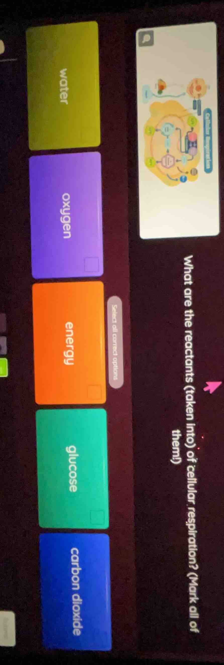 what are the reactants (taken into them) of cellular respiration? (mark…