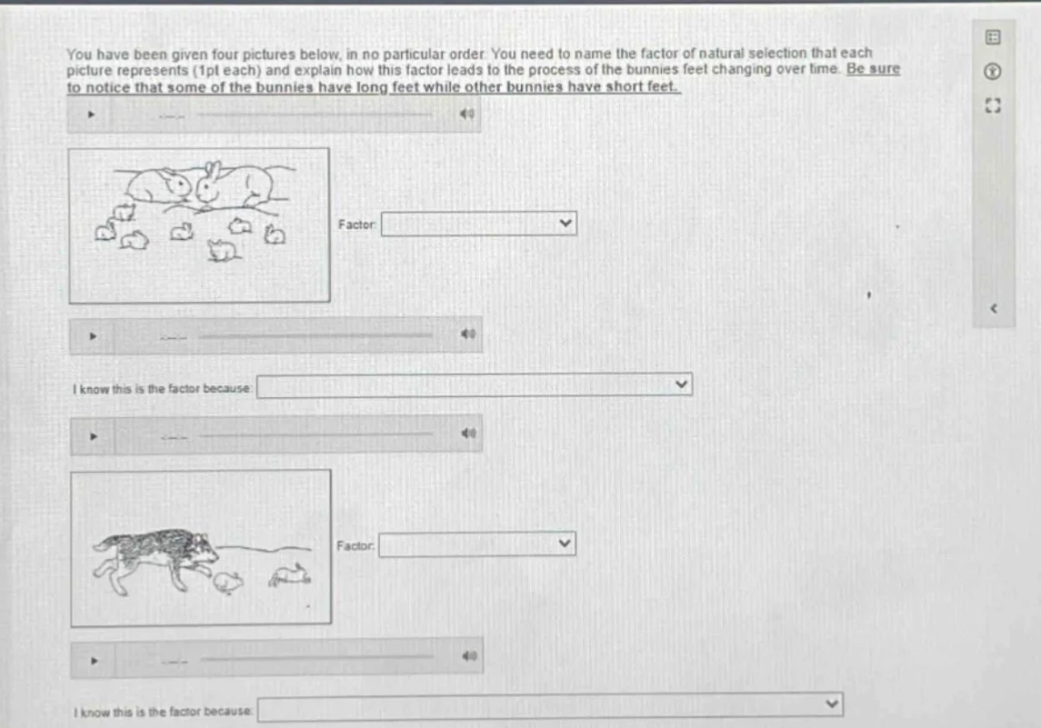 you have been given four pictures below, in no particular order. you ne…