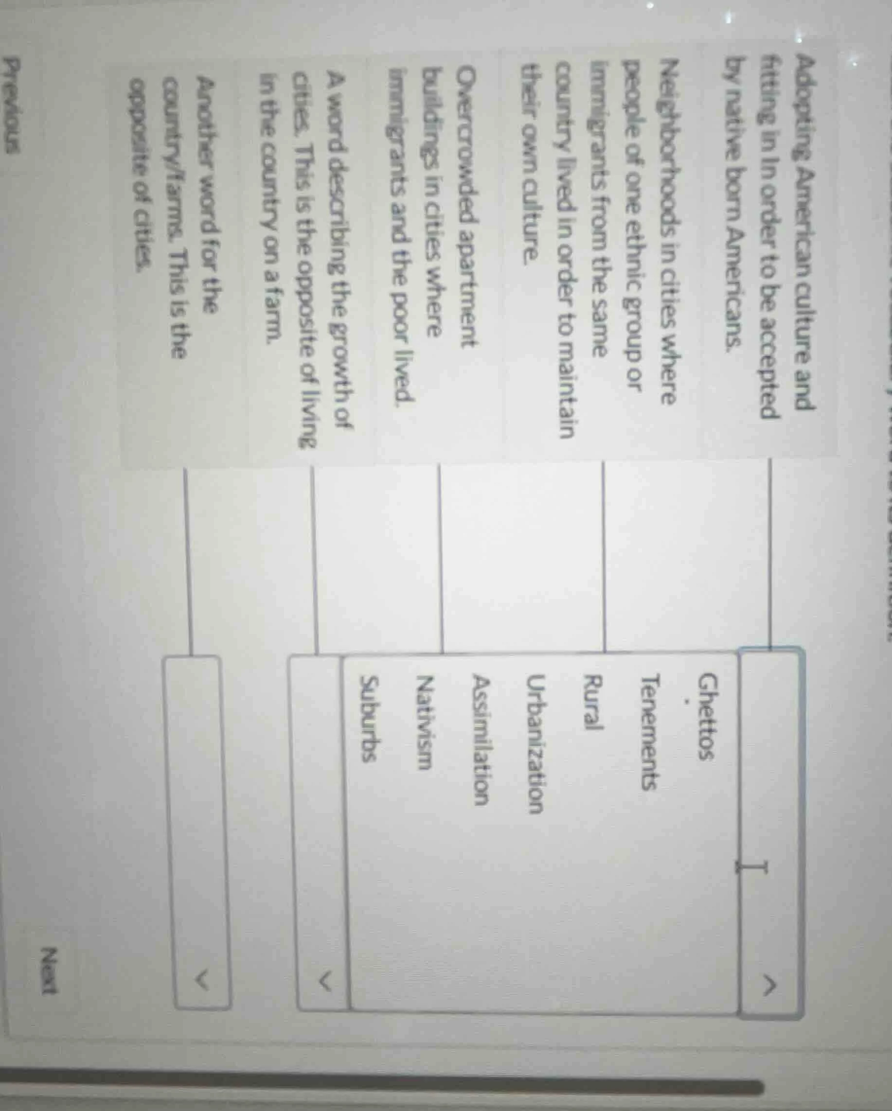 adopting american culture and fitting in in order to be accepted by nat…