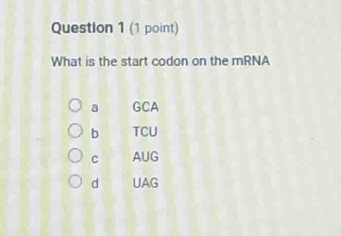 question 1 (1 point) what is the start codon on the mrna a gca b tcu c …