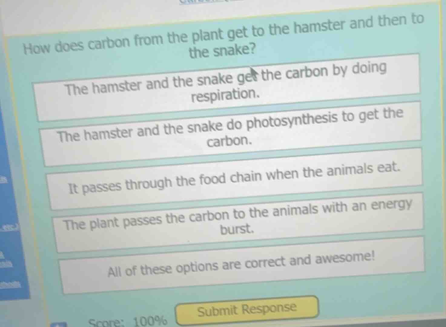 how does carbon from the plant get to the hamster and then to the snake…
