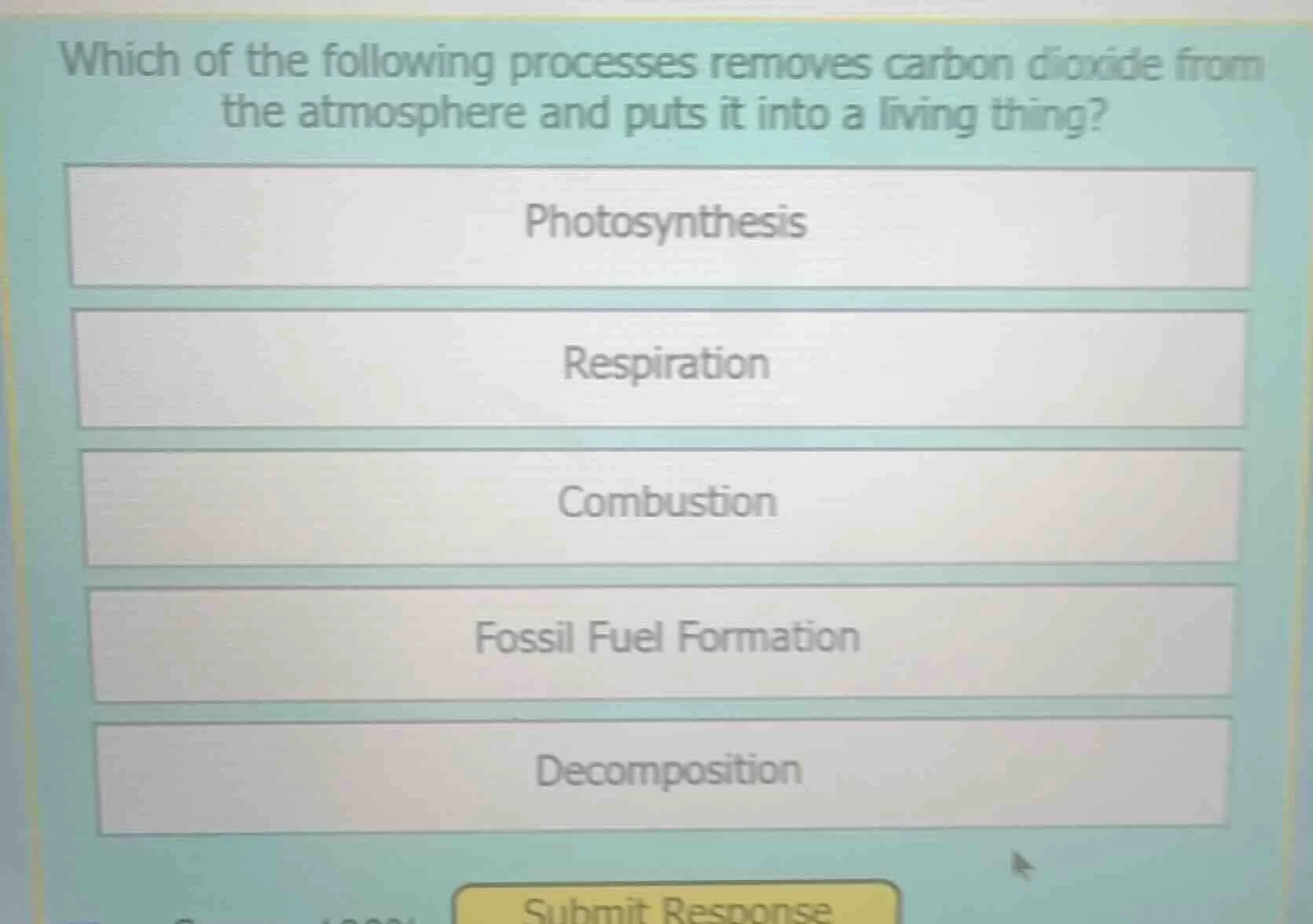 which of the following processes removes carbon dioxide from the atmosp…