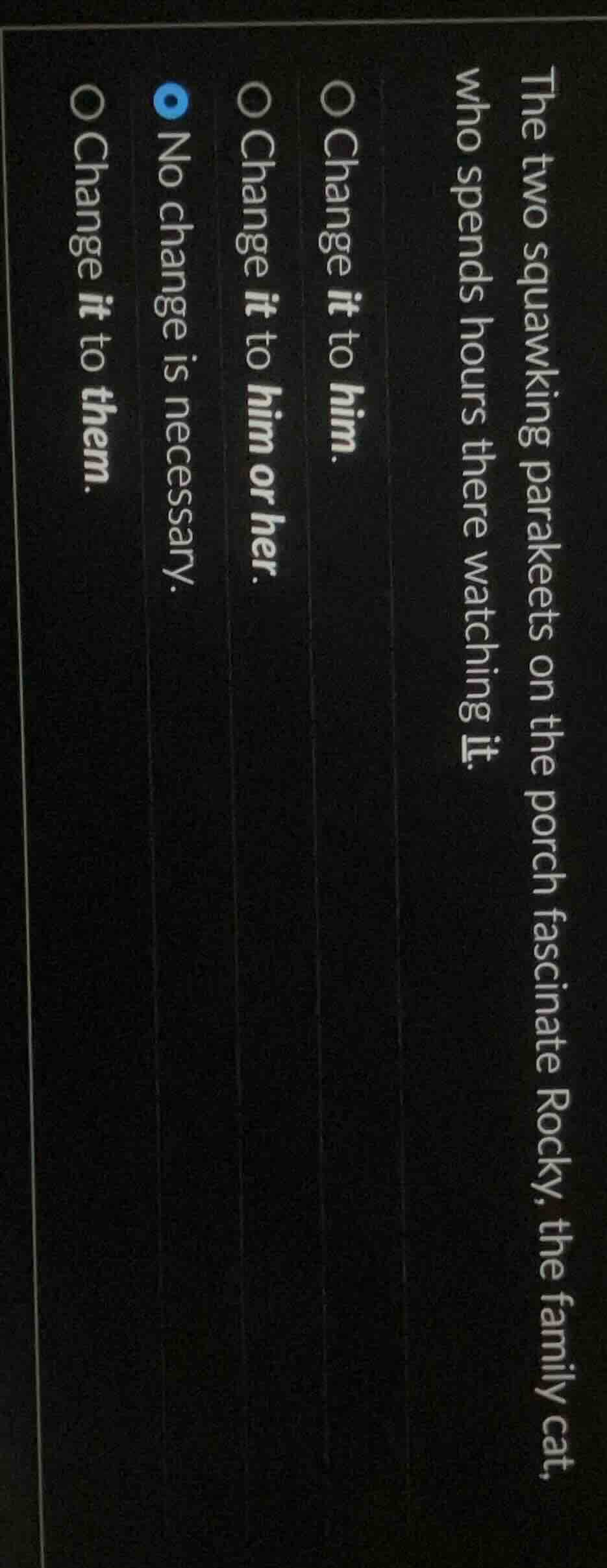 the two squawking parakeets on the porch fascinate rocky, the family ca…