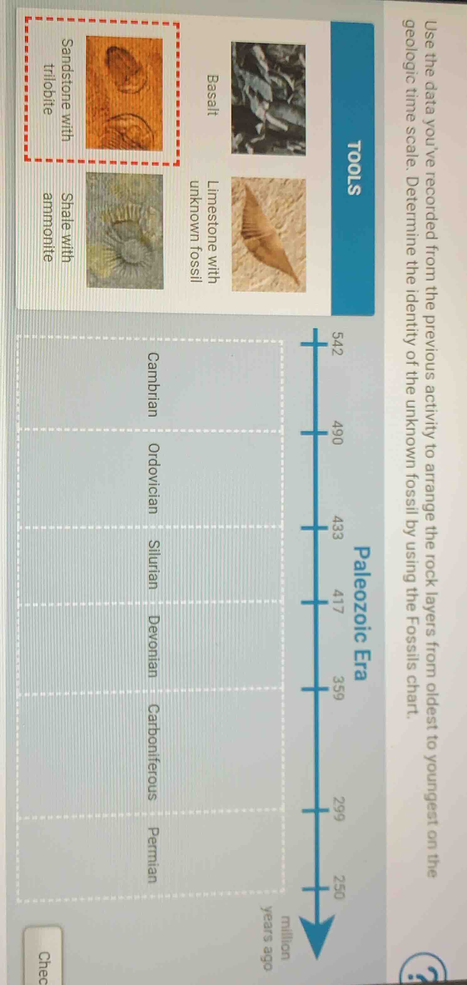 use the data you’ve recorded from the previous activity to arrange the …