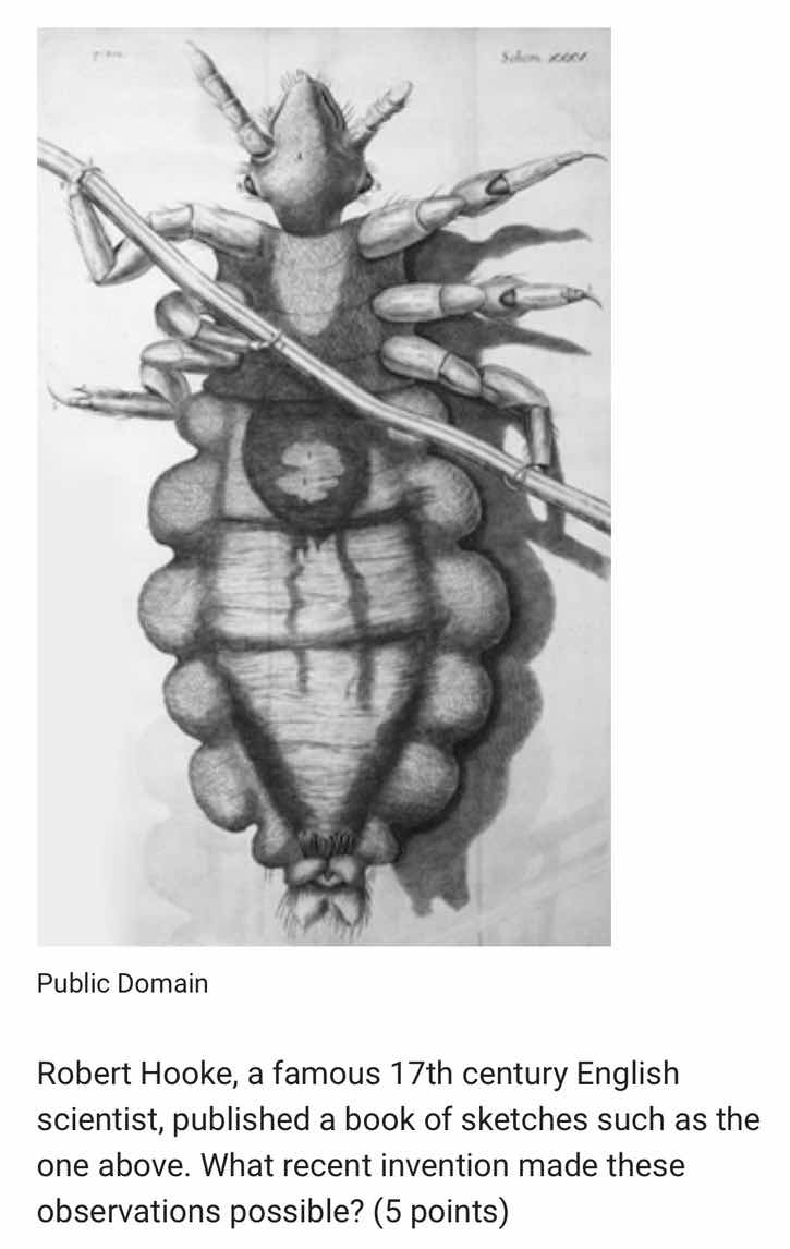 public domain robert hooke, a famous 17th century english scientist, pu…