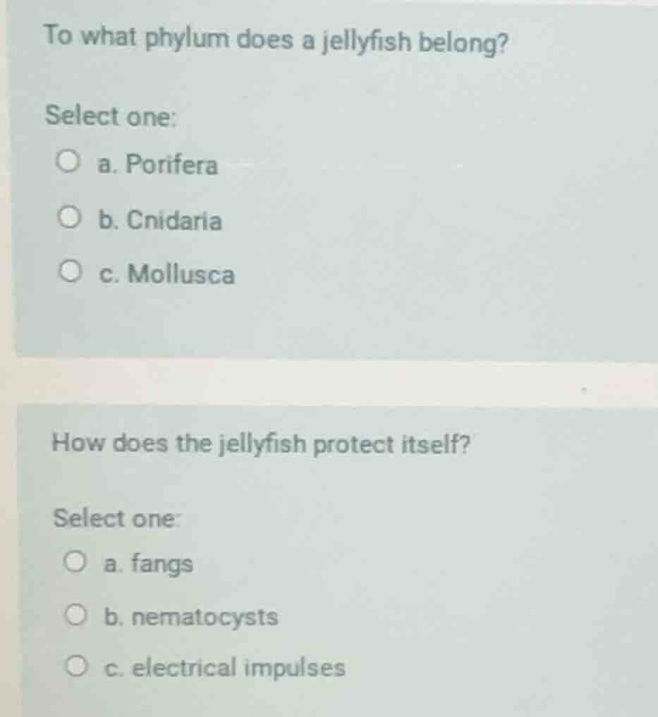 to what phylum does a jellyfish belong? select one: a. porifera b. cnid…