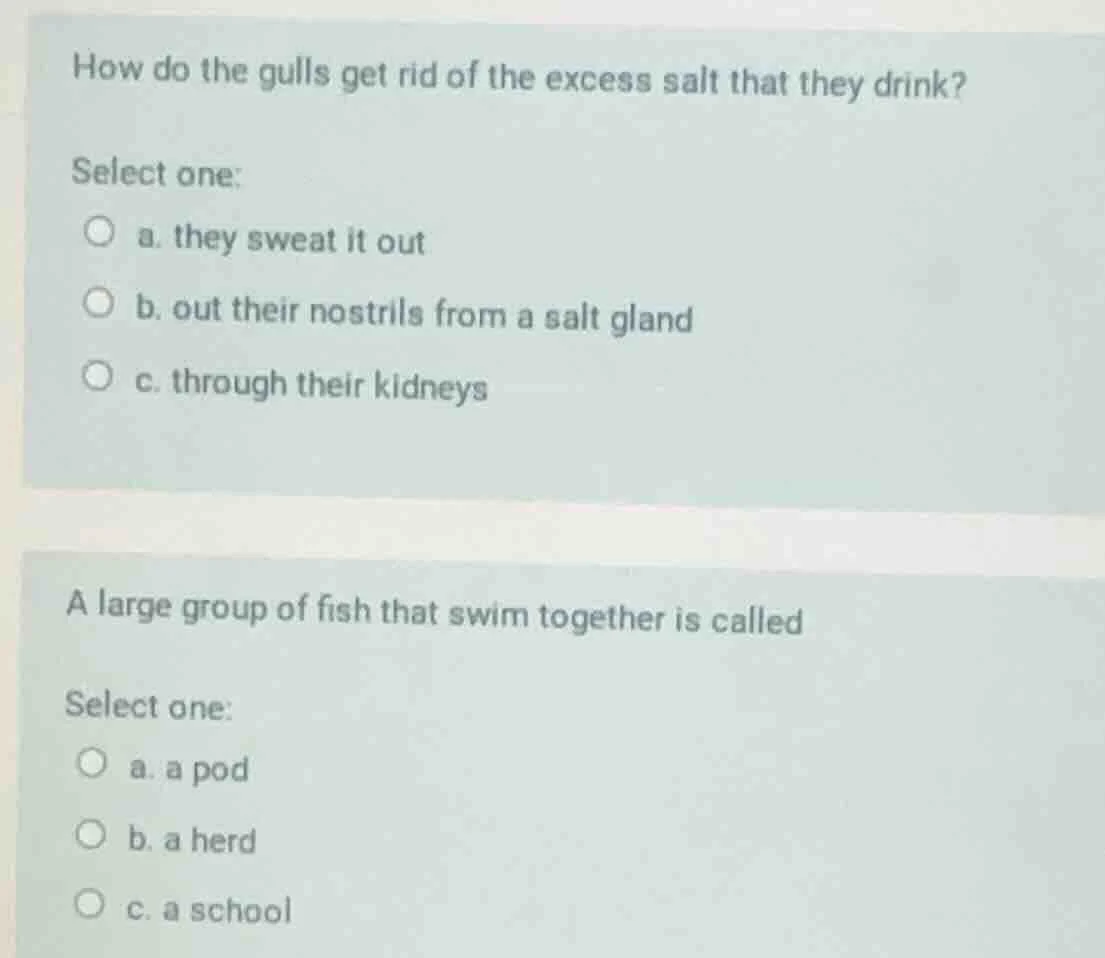 how do the gulls get rid of the excess salt that they drink? select one…
