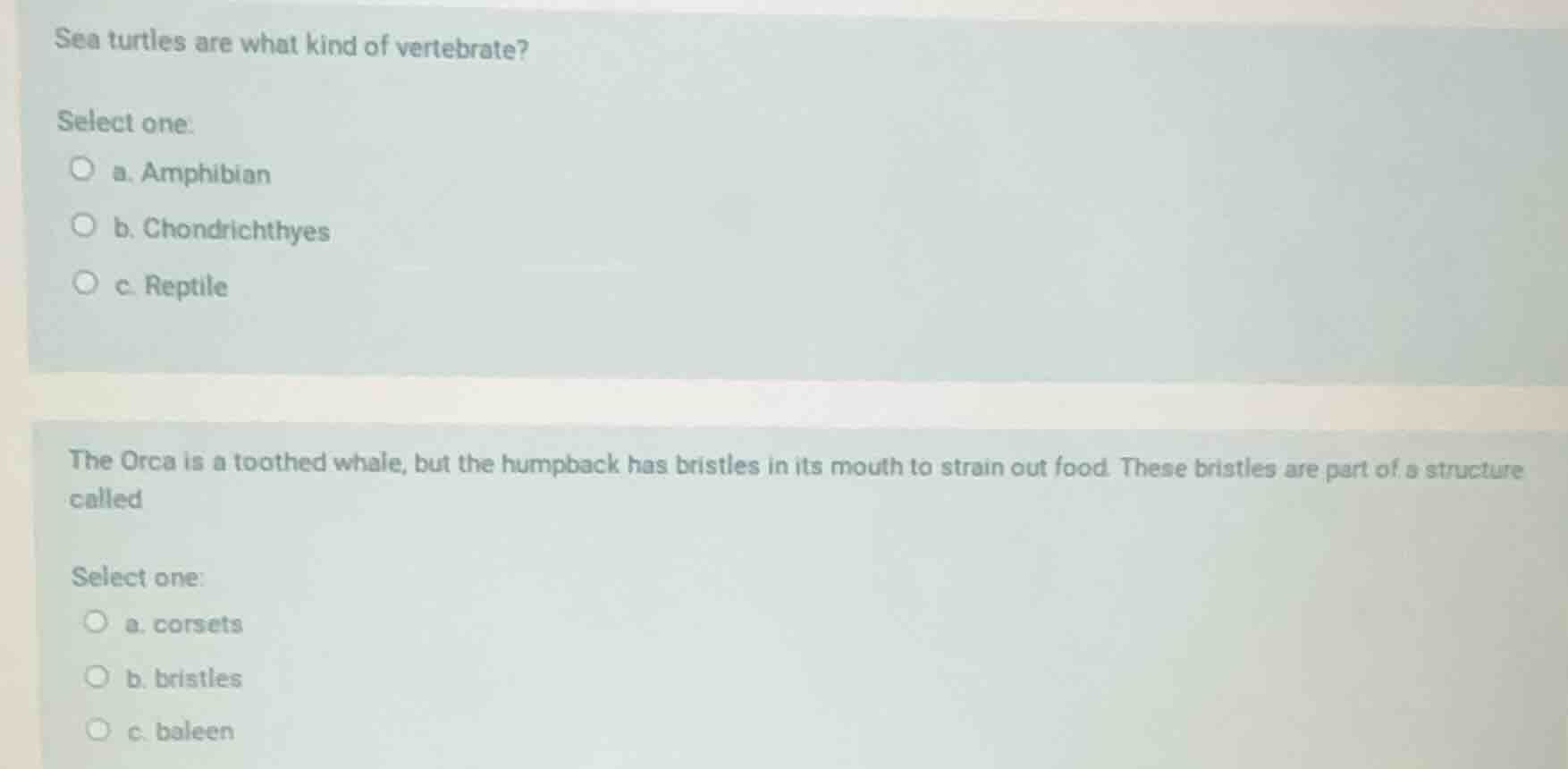 sea turtles are what kind of vertebrate? select one: ○ a. amphibian ○ b…
