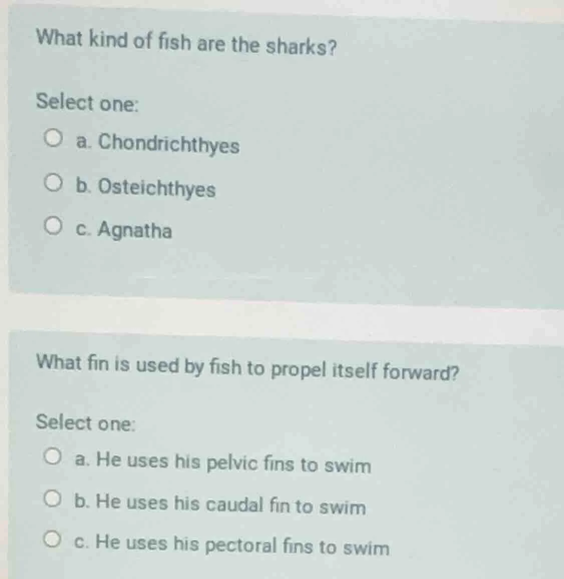 what kind of fish are the sharks? select one: a. chondrichthyes b. oste…