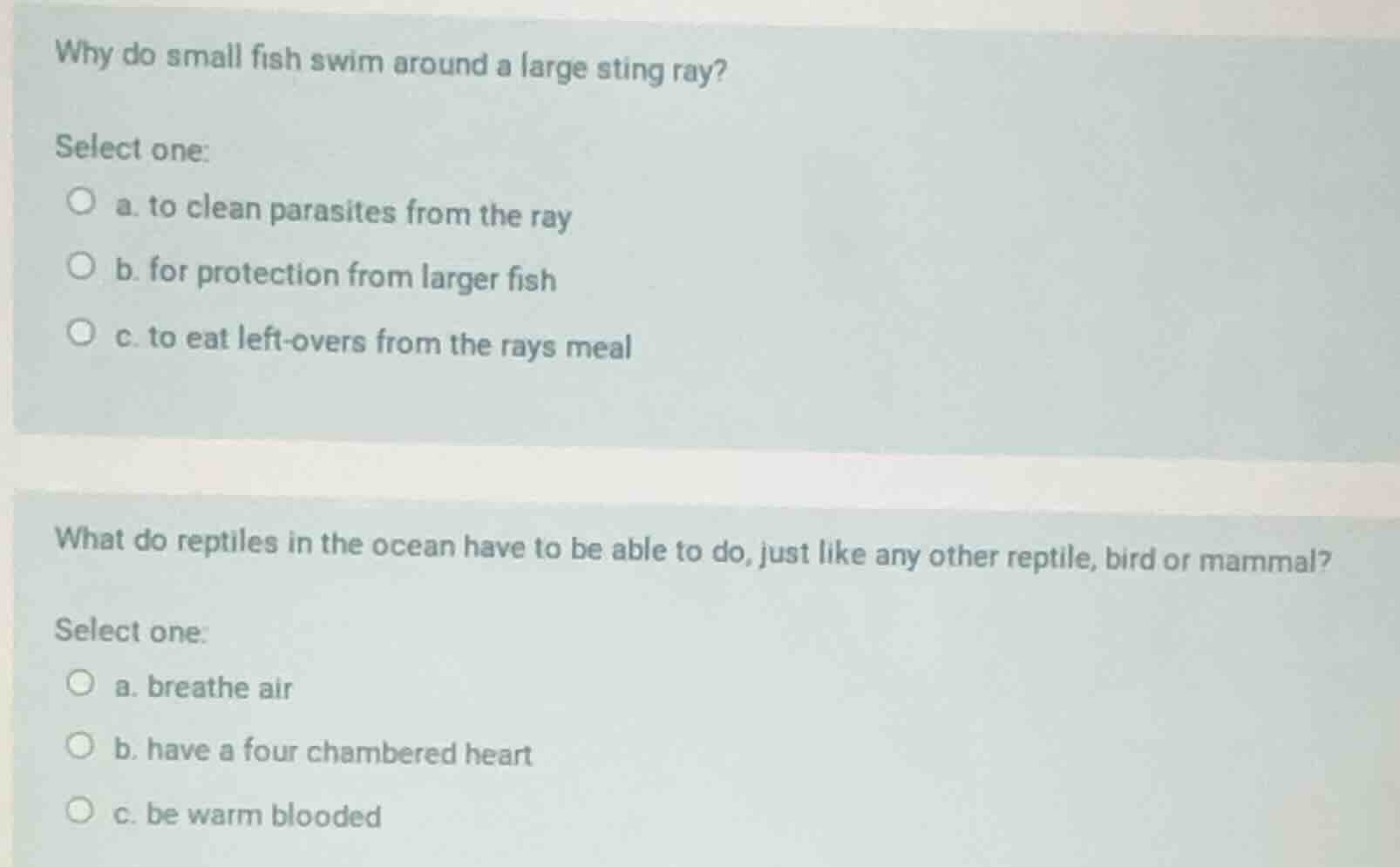 why do small fish swim around a large sting ray? select one: a. to clea…