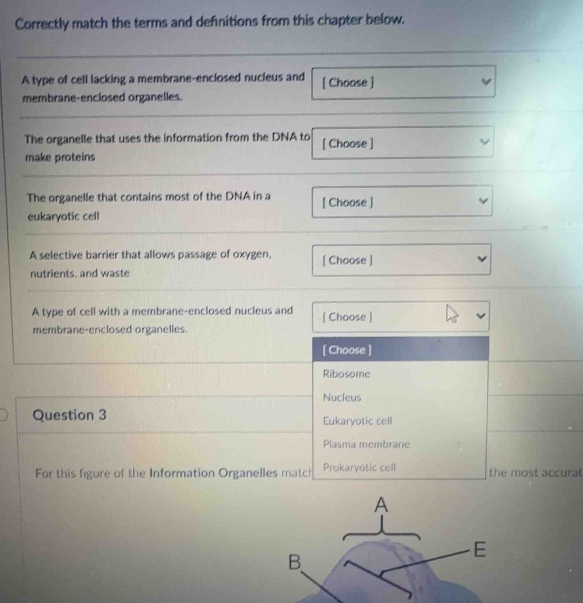 correctly match the terms and definitions from this chapter below. a ty…