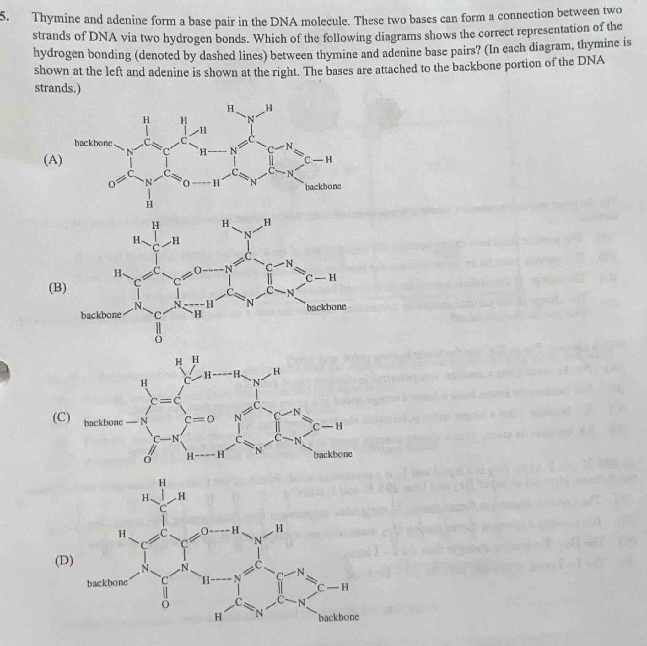 5. thymine and adenine form a base pair in the dna molecule. these two …