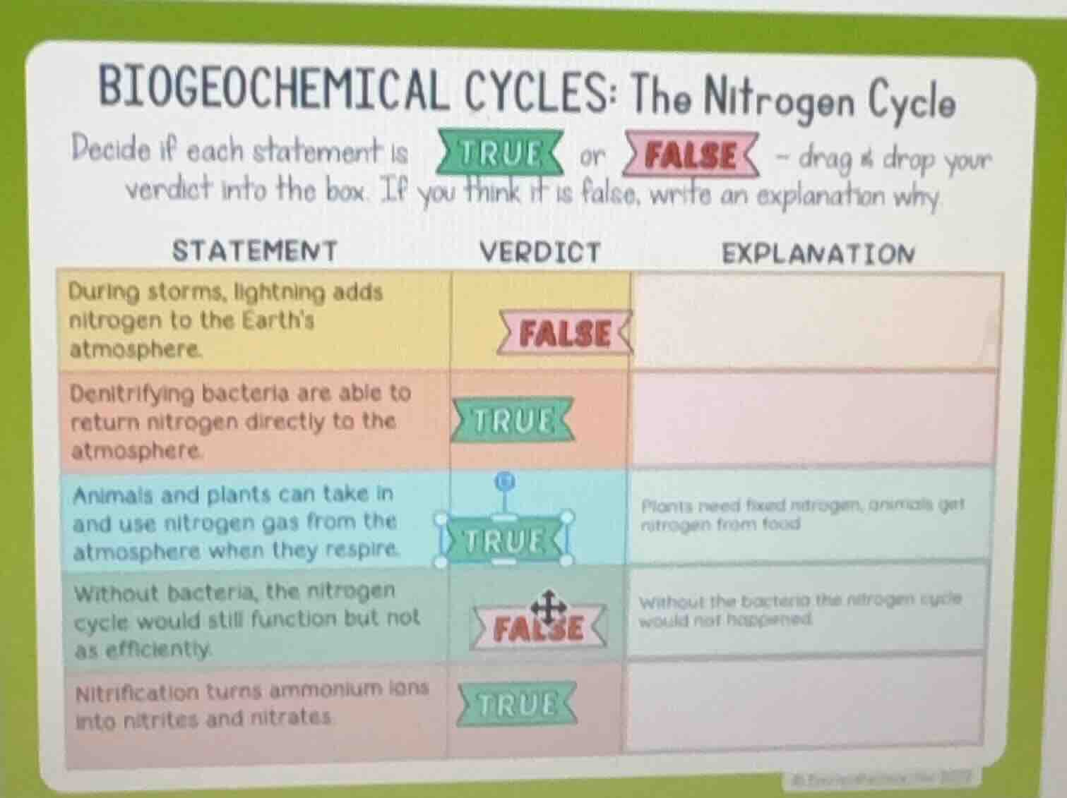 biogeochemical cycles: the nitrogen cycle decide if each statement is t…