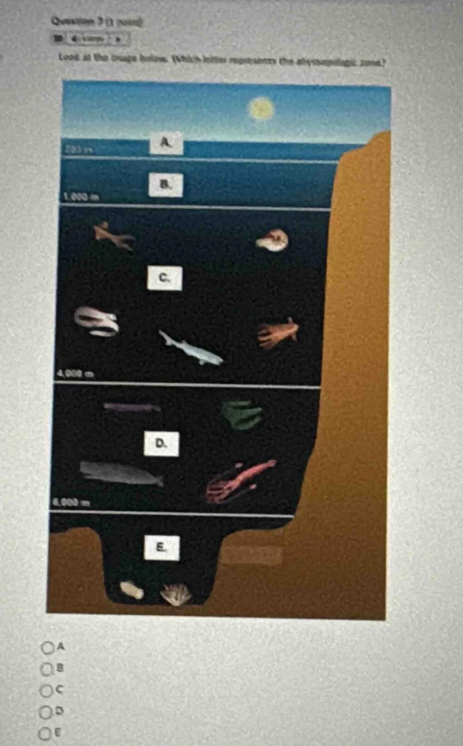 question 3 (1 point) look at the image below. which letter represents t…