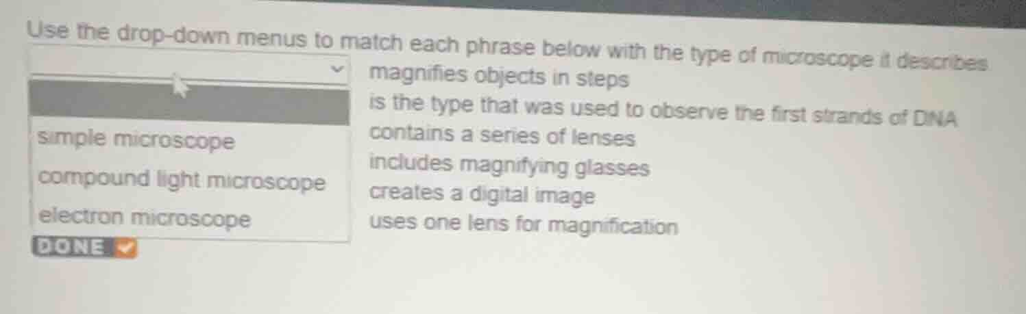 use the drop - down menus to match each phrase below with the type of m…