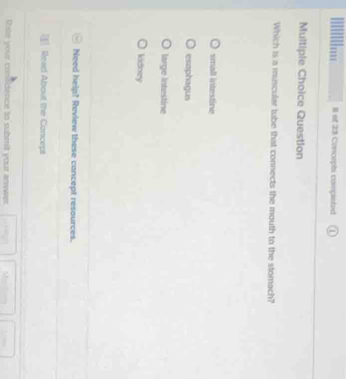 multiple choice question which is a muscular tube that connects the mou…