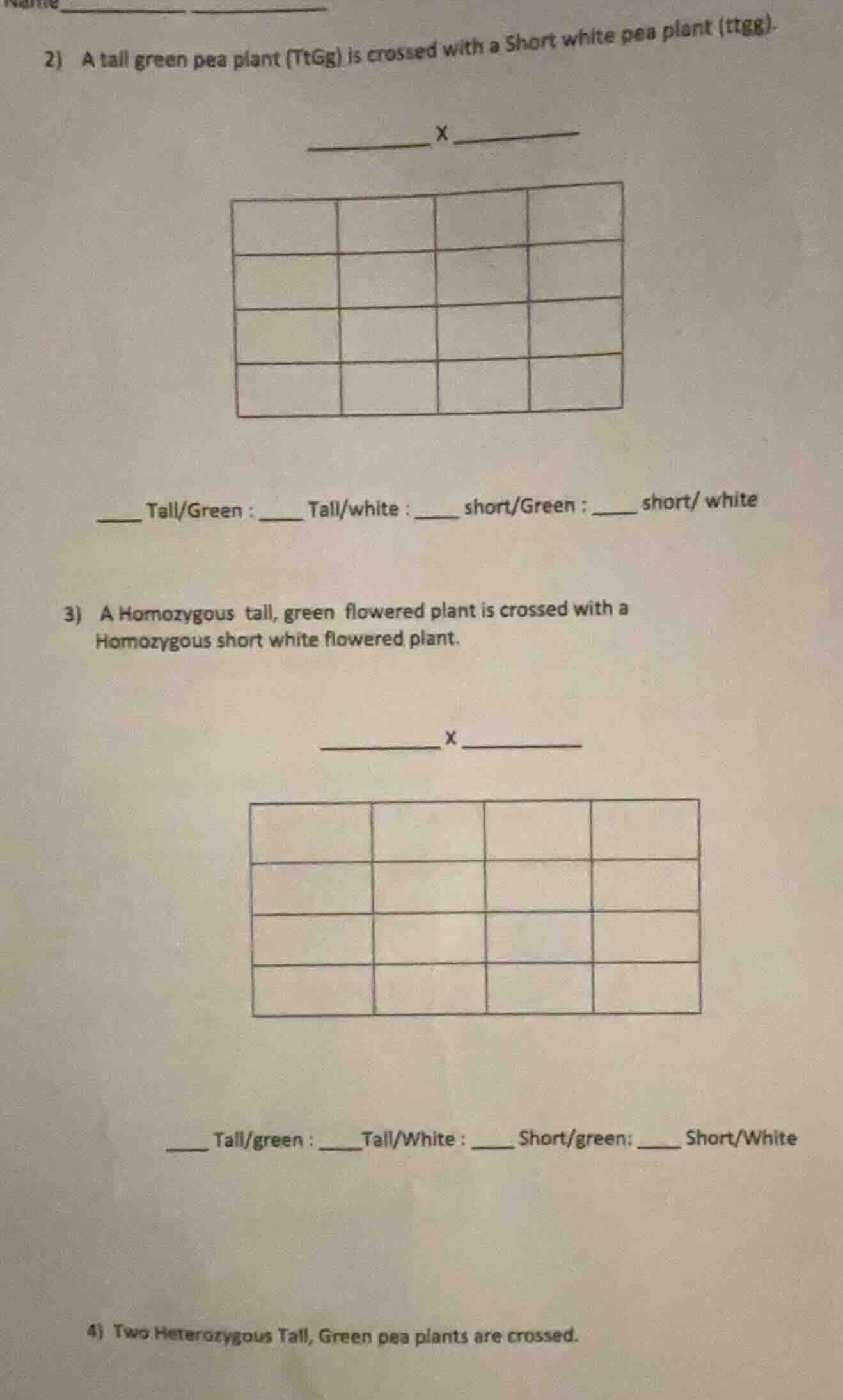 name 2) a tall green pea plant (ttgg) is crossed with a short white pea…