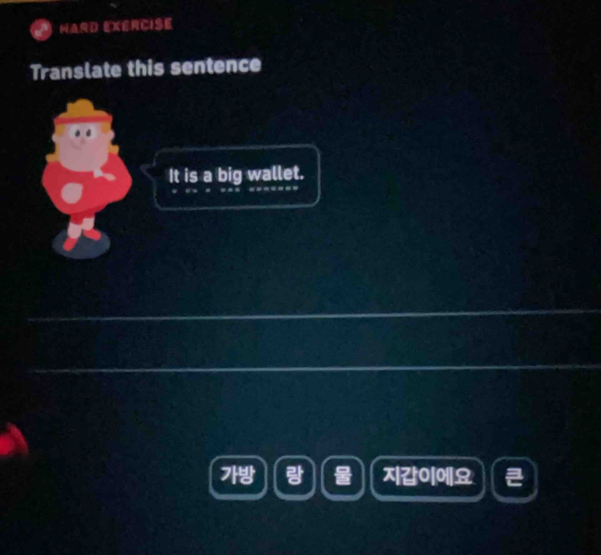 hard exercise translate this sentence it is a big wallet. 가방 량 물 지갑이에요 큰