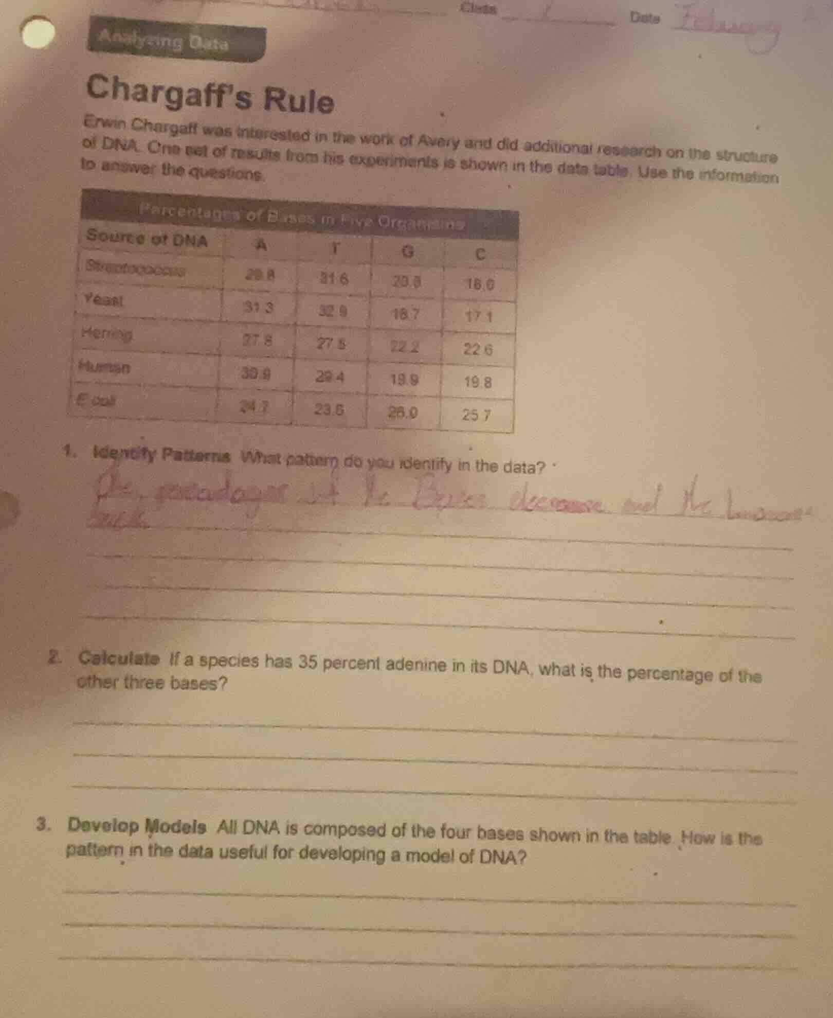 analyzing data chargaff’s rule erwin chargaff was interested in the wor…