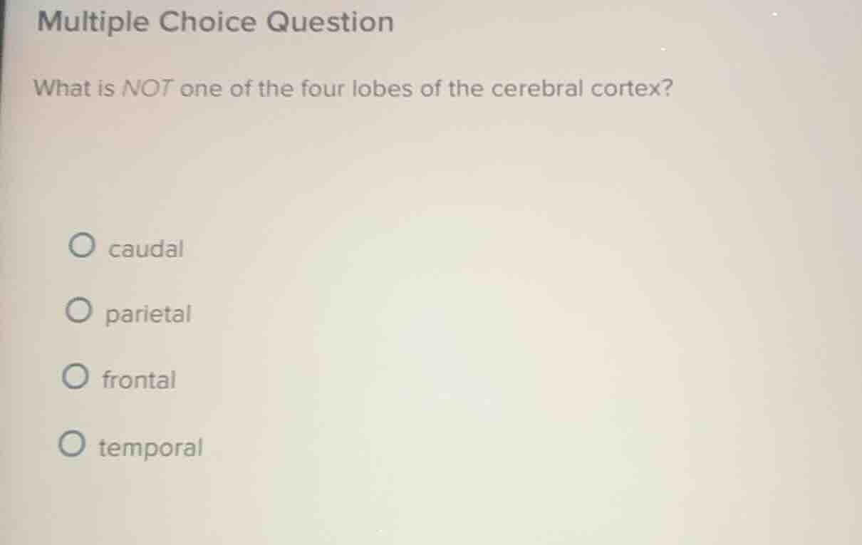 multiple choice question what is not one of the four lobes of the cereb…